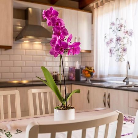 Casa Quintana - Apartamento Carla Тихарафе Екстериор снимка