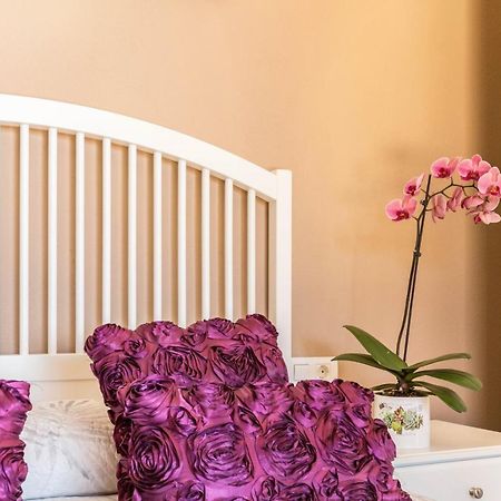 Casa Quintana - Apartamento Carla Тихарафе Екстериор снимка