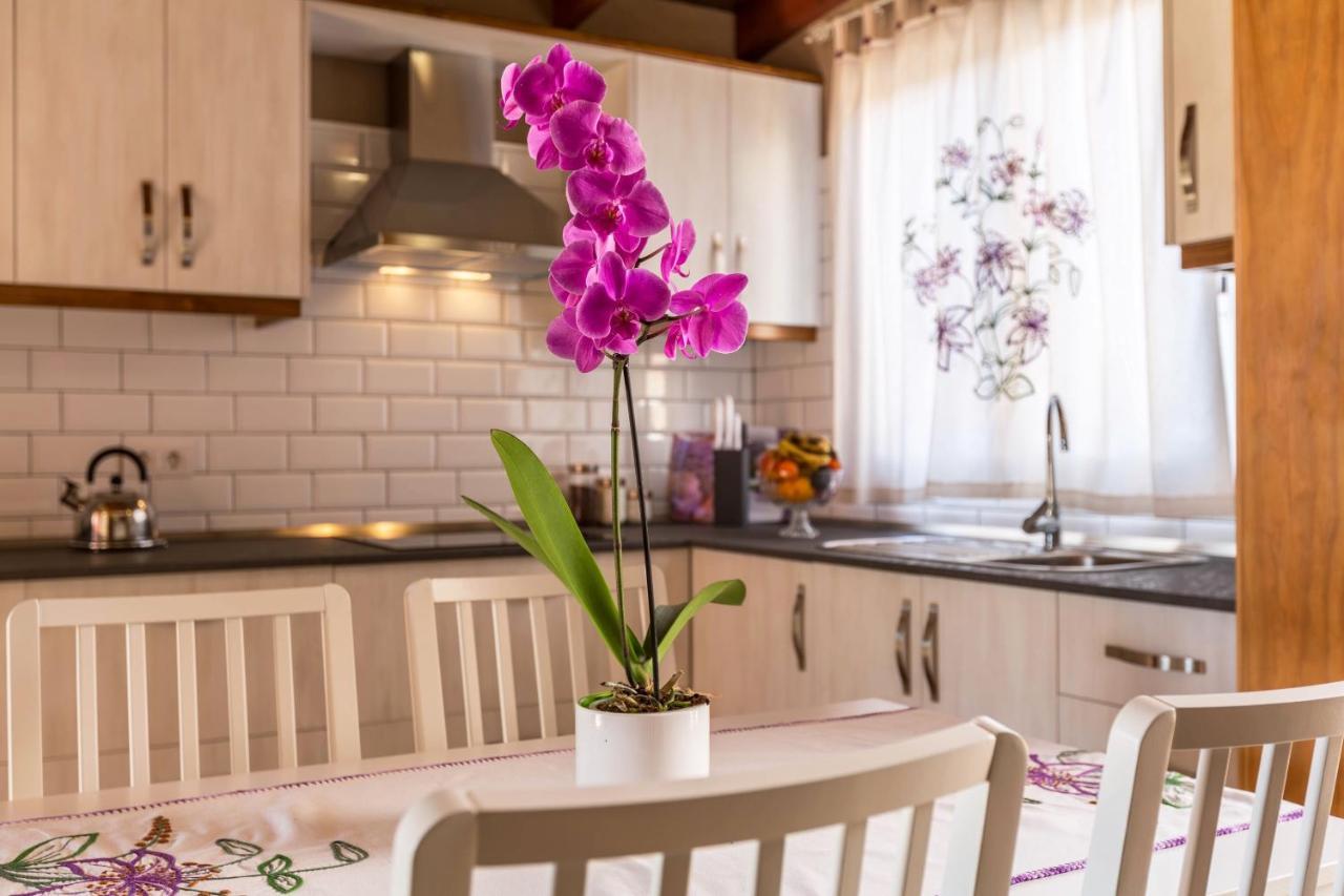 Casa Quintana - Apartamento Carla Тихарафе Екстериор снимка